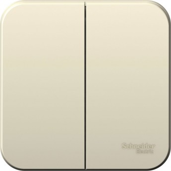 2-клавишный выключатель SCHNEIDER ELECTRIC BLANCA с изолирующей пластиной, 6А, 250B, МОЛОЧНЫЙ